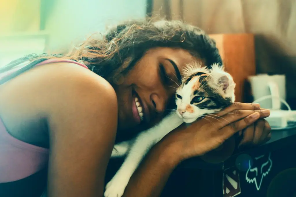 2 Main (Cute&Practical) Reasons Why Your Cat Licks Your Hair