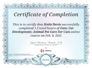 Certificate on Cat Care