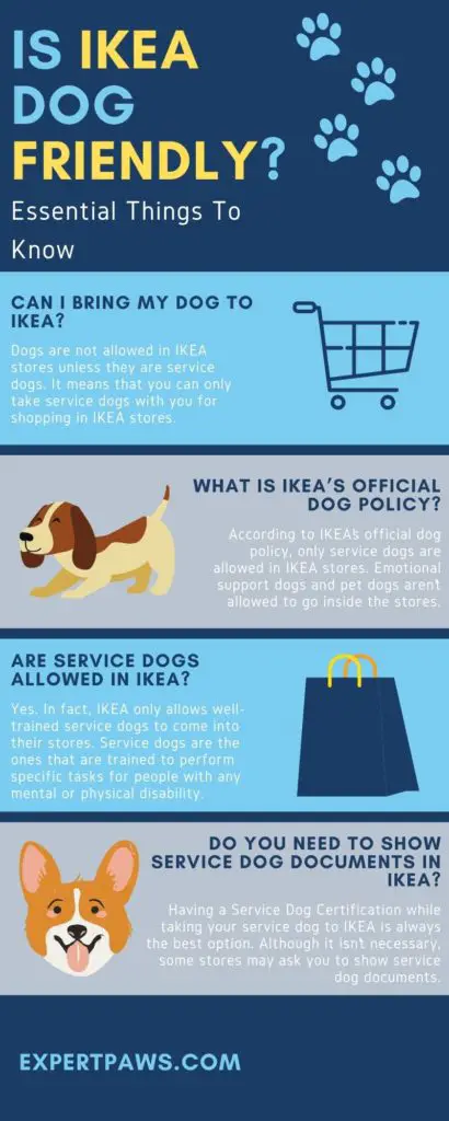 Is IKEA Dog Friendly?