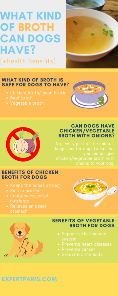 What Kind Of Broth Can Dogs Have?(+Health Benefits)