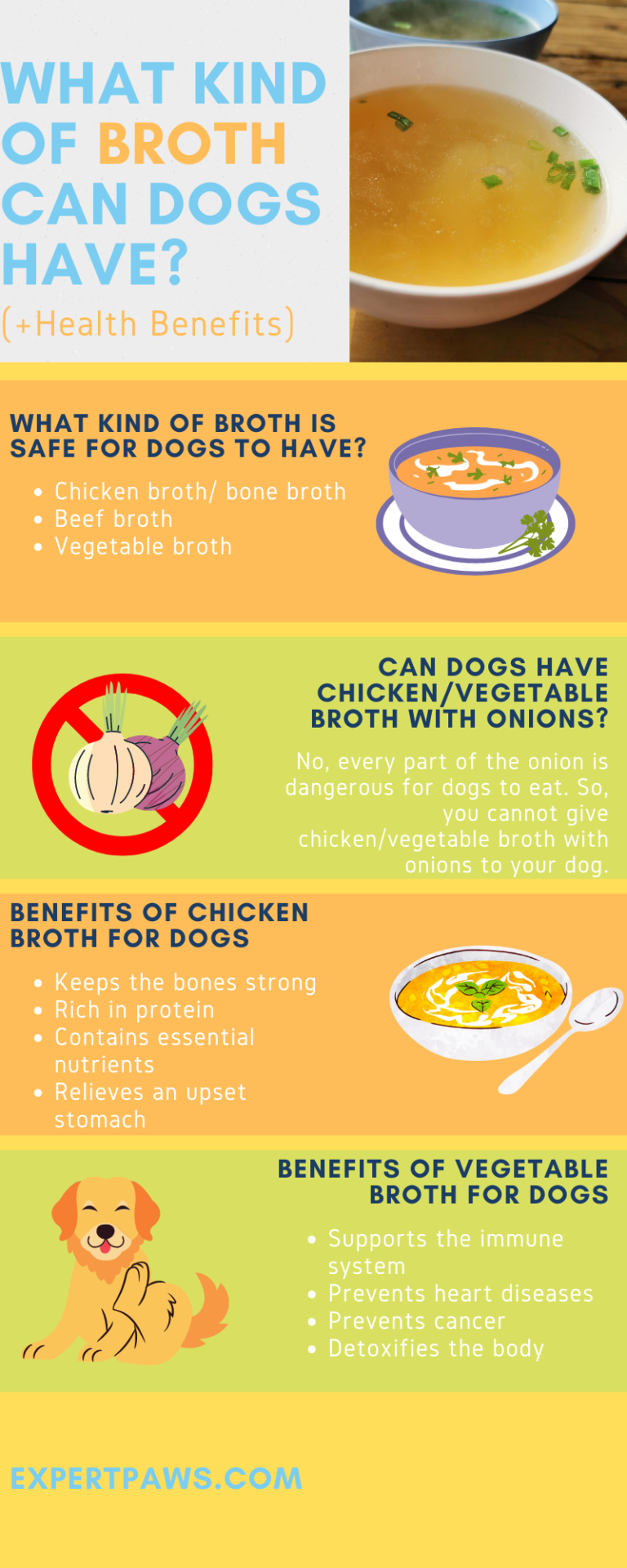 what-kind-of-broth-can-dogs-have-health-benefits