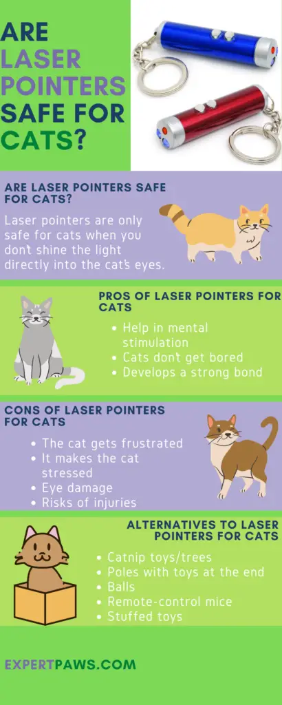 Are Laser Pointers Safe For Cats?