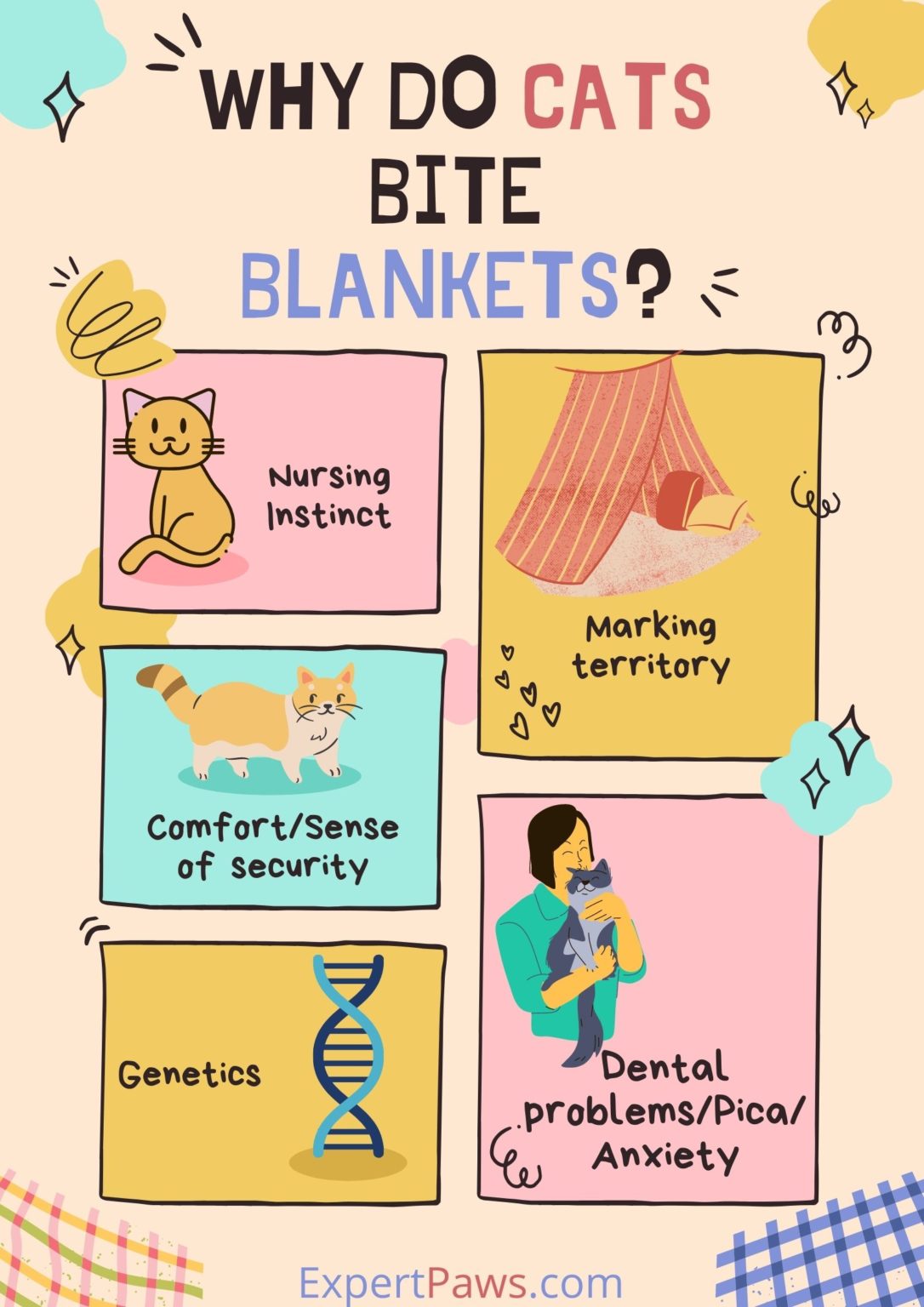 Why Do Cats Bite Blankets?(+5 Ways To Stop It)